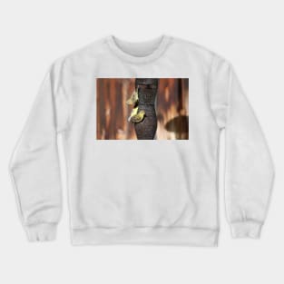 Closeup of Gold Finches on Bird Feeder Crewneck Sweatshirt